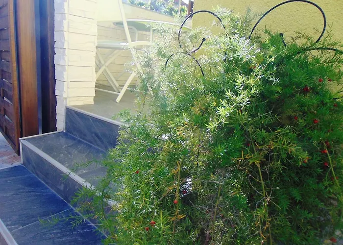 Rustica With Exclusive Use Of The Pool-ground Floor