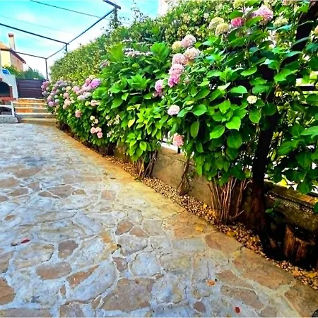 Apartment Rustica Zadar With Exclusive Use Of The Pool-Ground Floor * Zadar